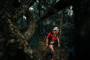 BIB: 
                            <button type="button" onclick="openModal(25677849)" class="btn btn-primary btn-sm float-right btn-popup" data-toggle="modal" data-target=".modal-high-quality">
                        <i class="fas fa-shopping-cart"></i> Add to Cart
                    </button>
                                            <button type="button" onclick="isThisMe(25677849, true)" class="btn btn-success btn-sm float-right btn-popup btn-isme hidden" data-toggle="tooltip" data-placement="bottom" title="นี่คือรูปของคุณใช่ไหม คลิกที่นี่เพื่อเอาเข้าอัลบั้ม">
                        <i class="fas fa-plus"></i> Add to album
                    </button>
                    <button type="button" onclick="isThisMe(25677849, false)" class="btn btn-warning btn-sm float-right btn-popup btn-isnotme hidden">
                        <i class="fas fa-ban"></i> Remove from album
                    </button>